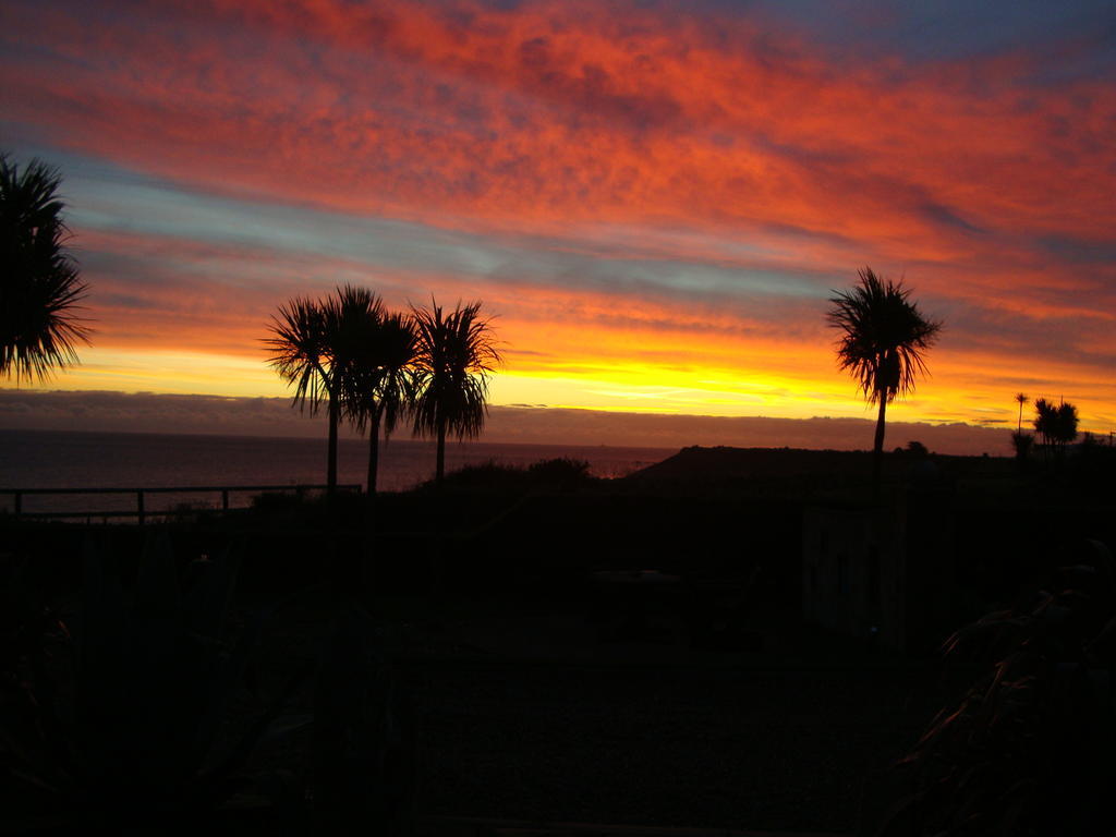 Clifford House B & B Rosslare Harbour Extérieur photo